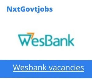 WesBank Roving Marketer Vacancies in Mbombela 2022