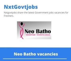 Neo Batho Senior Accountant Vacancies in Ermelo 2022