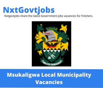 Msukaligwa Local Municipality Roads and Stormwater Vacancies in Kriel 2023