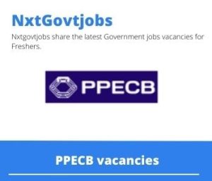 PPECB Data Capturer Vacancies in Nelspruit 2023