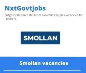 Smollan Sales Rep Vacancies in Secunda- Deadline 30 June 2023