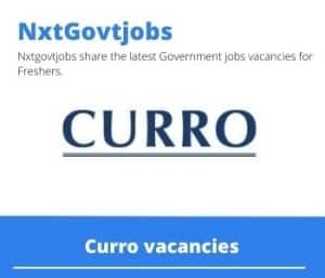 Curro Foundation Phase Head Vacancies in Witbank – Deadline 01 Jul 2023