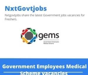 GEMS Client Liaison Officer Vacancies in Nelspruit – Deadline 05 Jul 2023