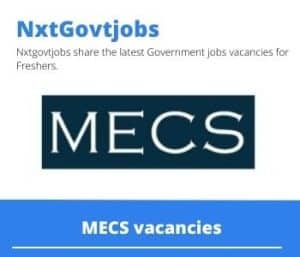 MECS Human Resources Business Partner Vacancies in Nelspruit – Deadline 07 Jul 2023