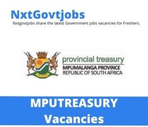 Assistant Director Internal Audit vacancies in Mpumalanga Department of Provincial Treasury – Deadline 30 Jun 2023