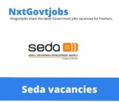 SEDA Business Advisor Vacancies in Ehlanzeni – Deadline 20 Dec 2023