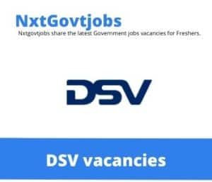 DSV Branch Manager Vacancies in Witbank- Deadline 06 Jul 2023