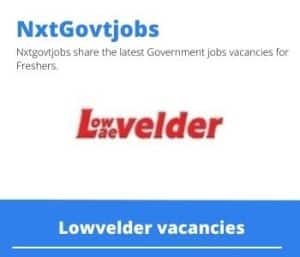 Lowvelder Artisan Boilermaker Vacancies in Nelspruit- Deadline 07 Oct 2023
