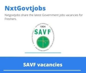 SAVF Youth Care Manager Vacancies in Belfast – Deadline 30 Nov 2023