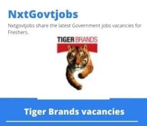 Tiger Brands Storeman Vacancies in Nelspruit – Deadline 05 Jan 2024