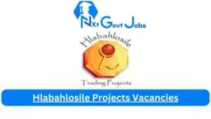 Hlabahlosile Projects Personal Executive Assistant Vacancies in Nelspruit